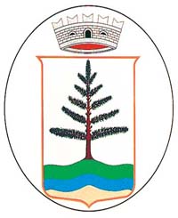 Stemma del comune Baselga di Pin